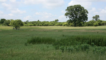 land-marsh-prairie