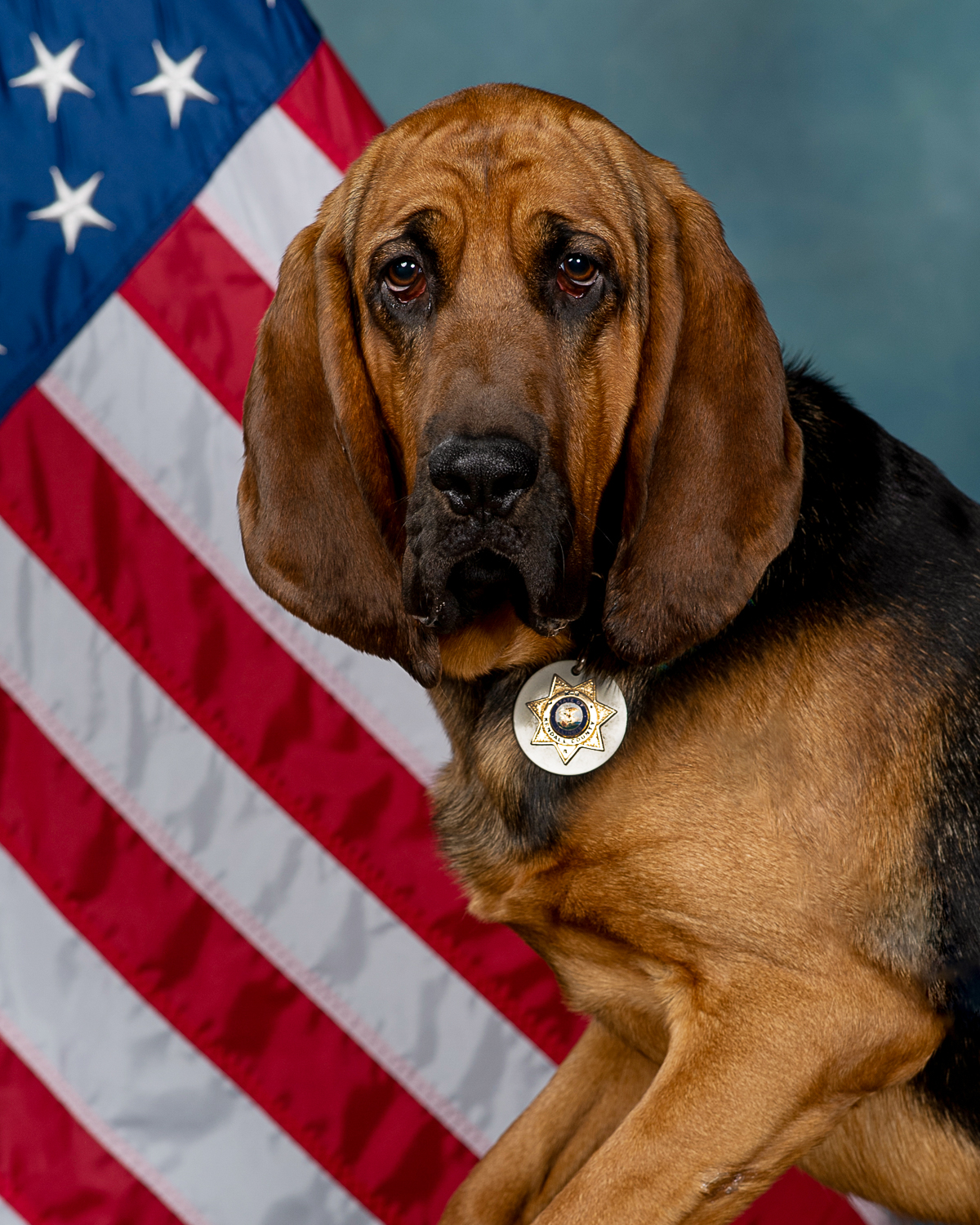 K9 Rizzo