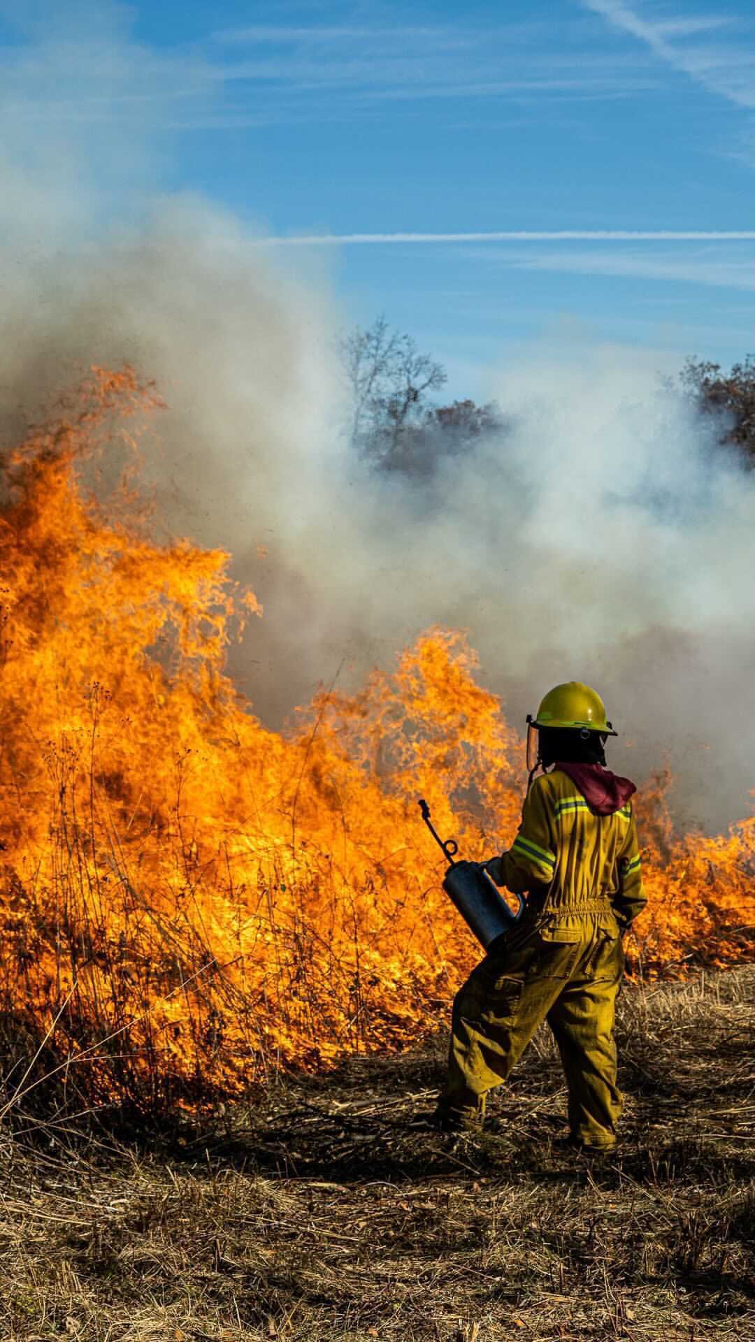 Ant Burning