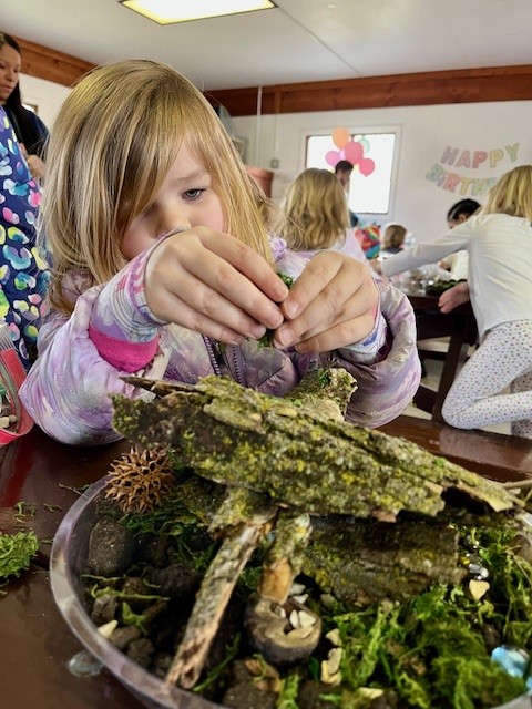 Fairy Garden picture