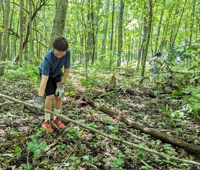 Summer Camp-Nature Quest work day